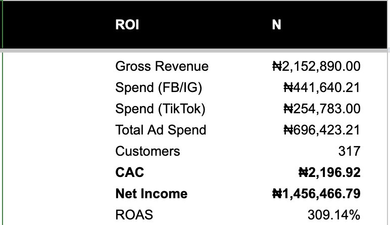 Sales backend sheet with a summary of gross revenue, ad spend on Facebook, Instagram and TikTok, and 317 customers